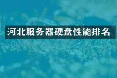 河北服务器硬盘性能排名
