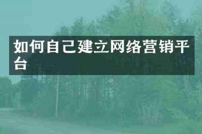 如何自己建立网络营销平台