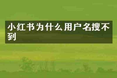 小红书为什么用户名搜不到