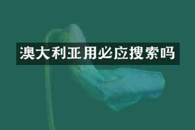 澳大利亚用必应搜索吗