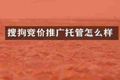 搜狗竞价推广托管怎么样
