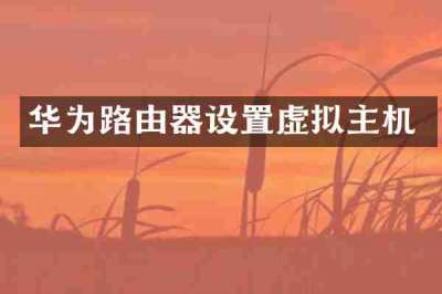 华为路由器设置虚拟主机