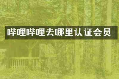 哔哩哔哩去哪里认证会员