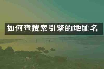 如何查搜索引擎的地址名