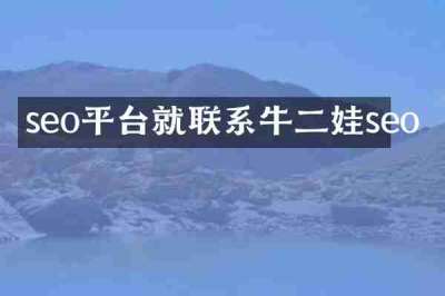 seo平台就联系牛二娃seo