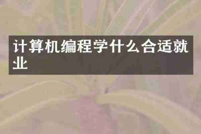 计算机编程学什么合适就业