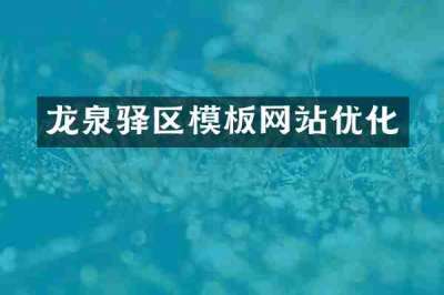 龙泉驿区模板网站优化