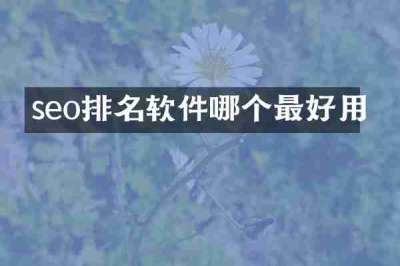 seo排名软件哪个最好用