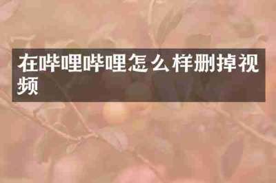 在哔哩哔哩怎么样删掉视频