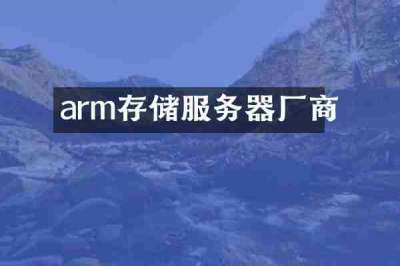 arm存储服务器厂商