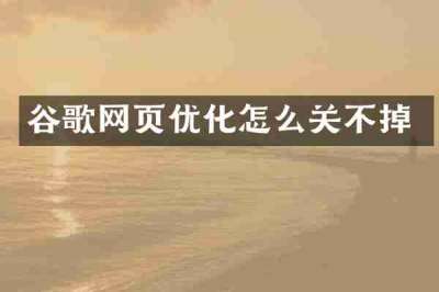 谷歌网页优化怎么关不掉