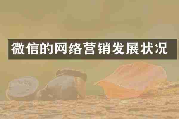 微信的网络营销发展状况