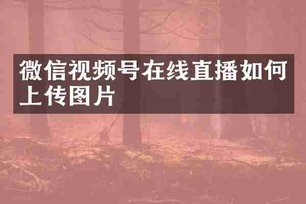 微信视频号在线直播如何上传图片