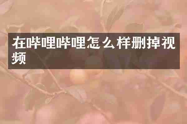 在哔哩哔哩怎么样删掉视频