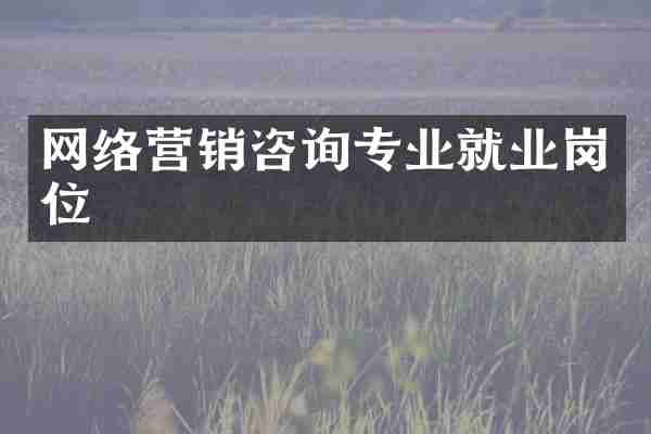 网络营销咨询专业就业岗位