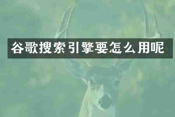 谷歌搜索引擎要怎么用呢