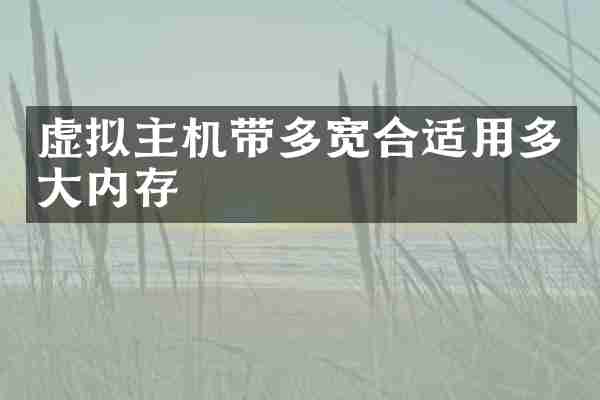 虚拟主机带多宽合适用多大内存