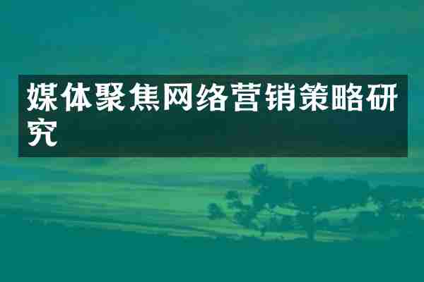 媒体聚焦网络营销策略研究