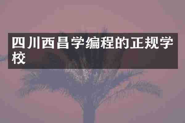 四川西昌学编程的正规学校