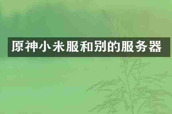 原神小米服和别的服务器