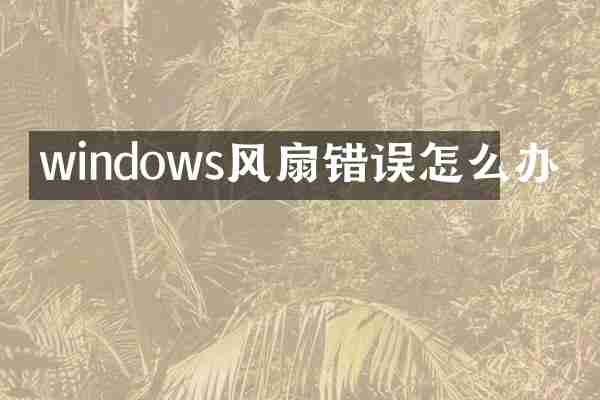 windows风扇错误怎么办