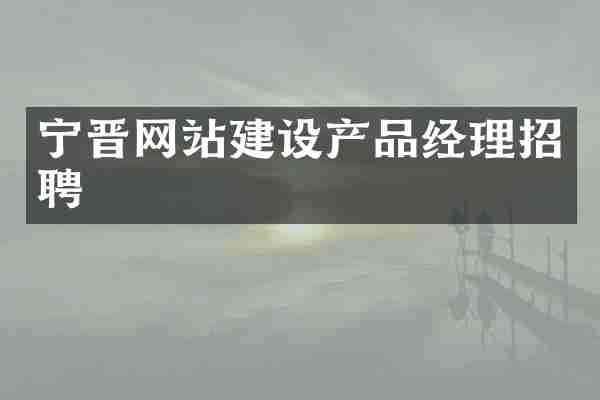宁晋网站建设产品经理招聘