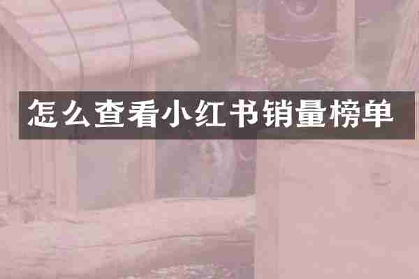 怎么查看小红书销量榜单