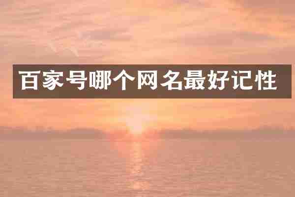 百家号哪个网名最好记性