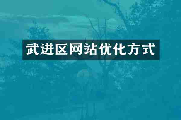 武进区网站优化方式