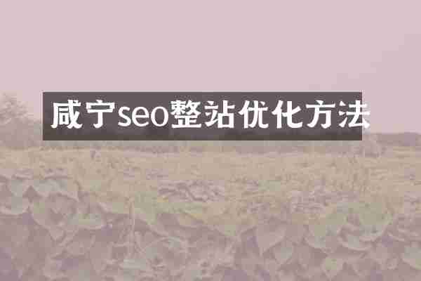 咸宁seo整站优化方法
