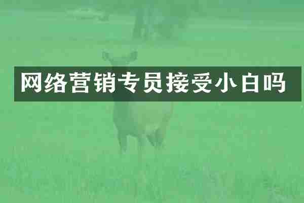 网络营销专员接受小白吗