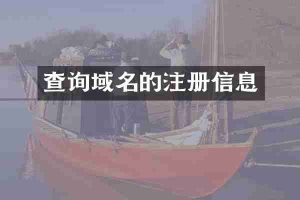 查询域名的注册信息