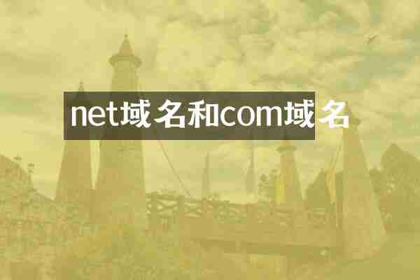 net域名和com域名