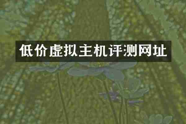 低价虚拟主机评测网址