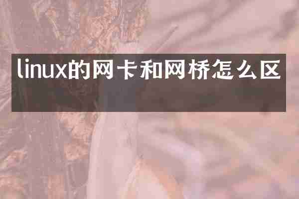 linux的网卡和网桥怎么区分