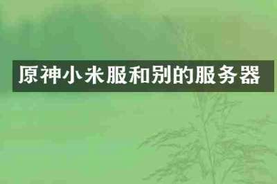 原神小米服和别的服务器