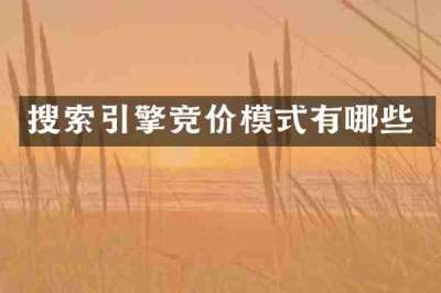 搜索引擎竞价模式有哪些