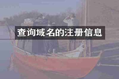 查询域名的注册信息