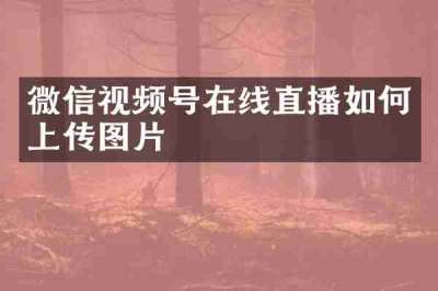 微信视频号在线直播如何上传图片