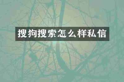 搜狗搜索怎么样私信