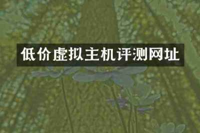 低价虚拟主机评测网址