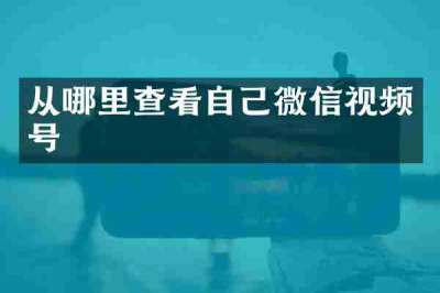 从哪里查看自己微信视频号
