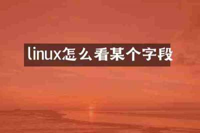 linux怎么看某个字段