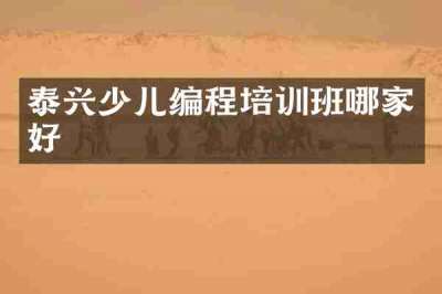 泰兴少儿编程培训班哪家好