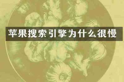 苹果搜索引擎为什么很慢