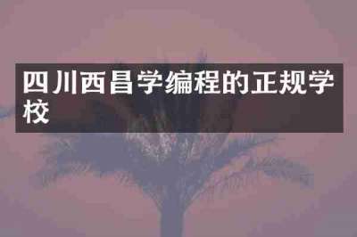 四川西昌学编程的正规学校