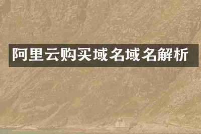 阿里云购买域名域名解析