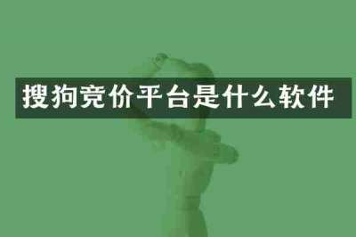 搜狗竞价平台是什么软件