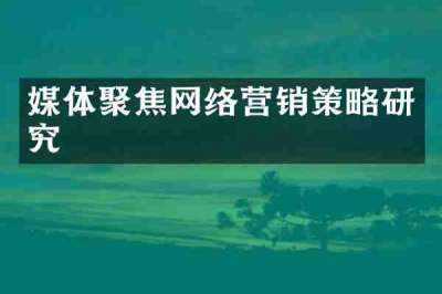 媒体聚焦网络营销策略研究