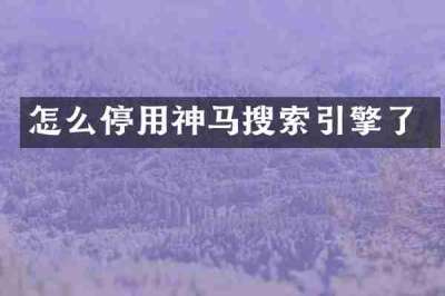 怎么停用神马搜索引擎了